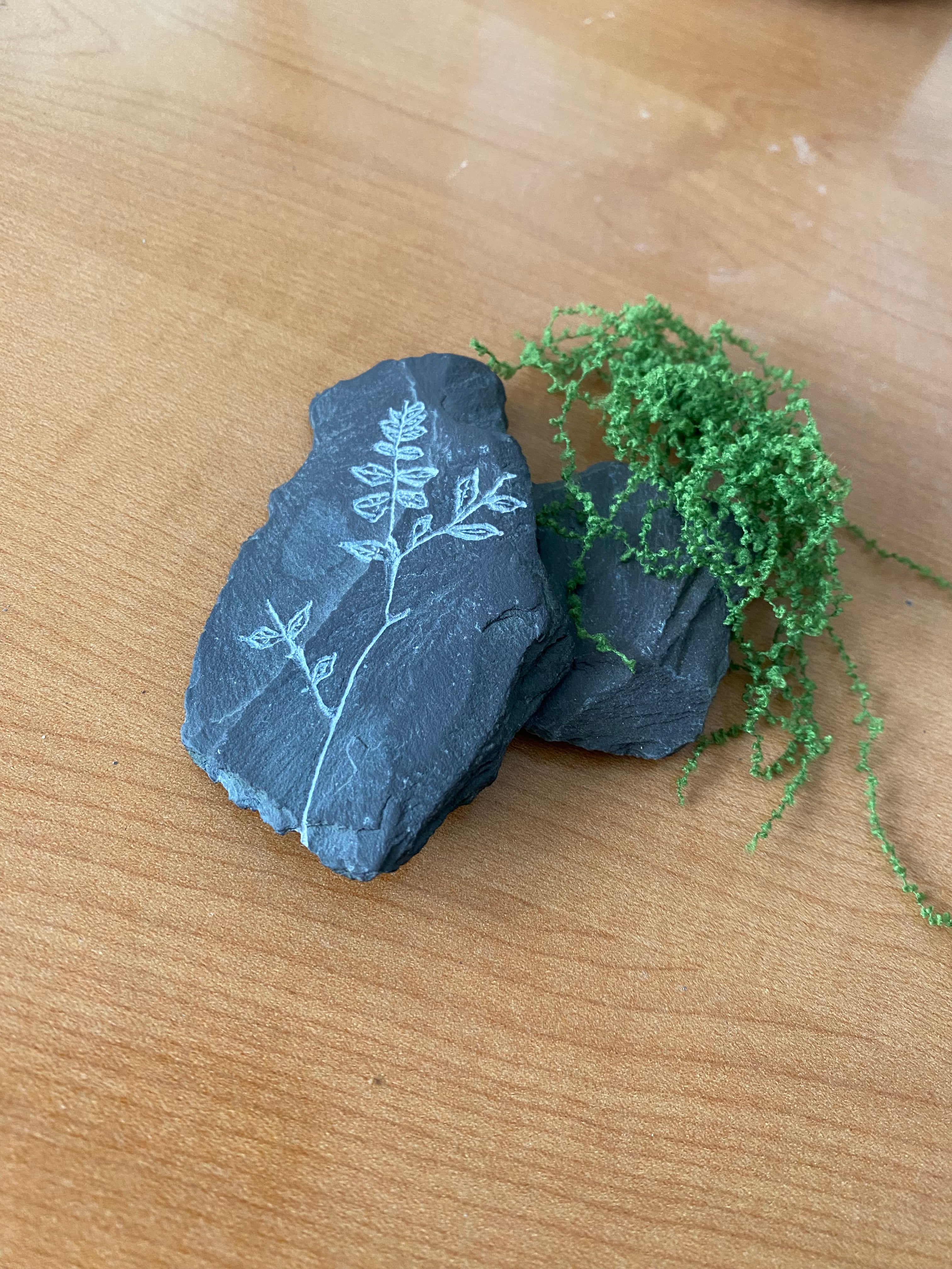 Grounding/Growing Stone